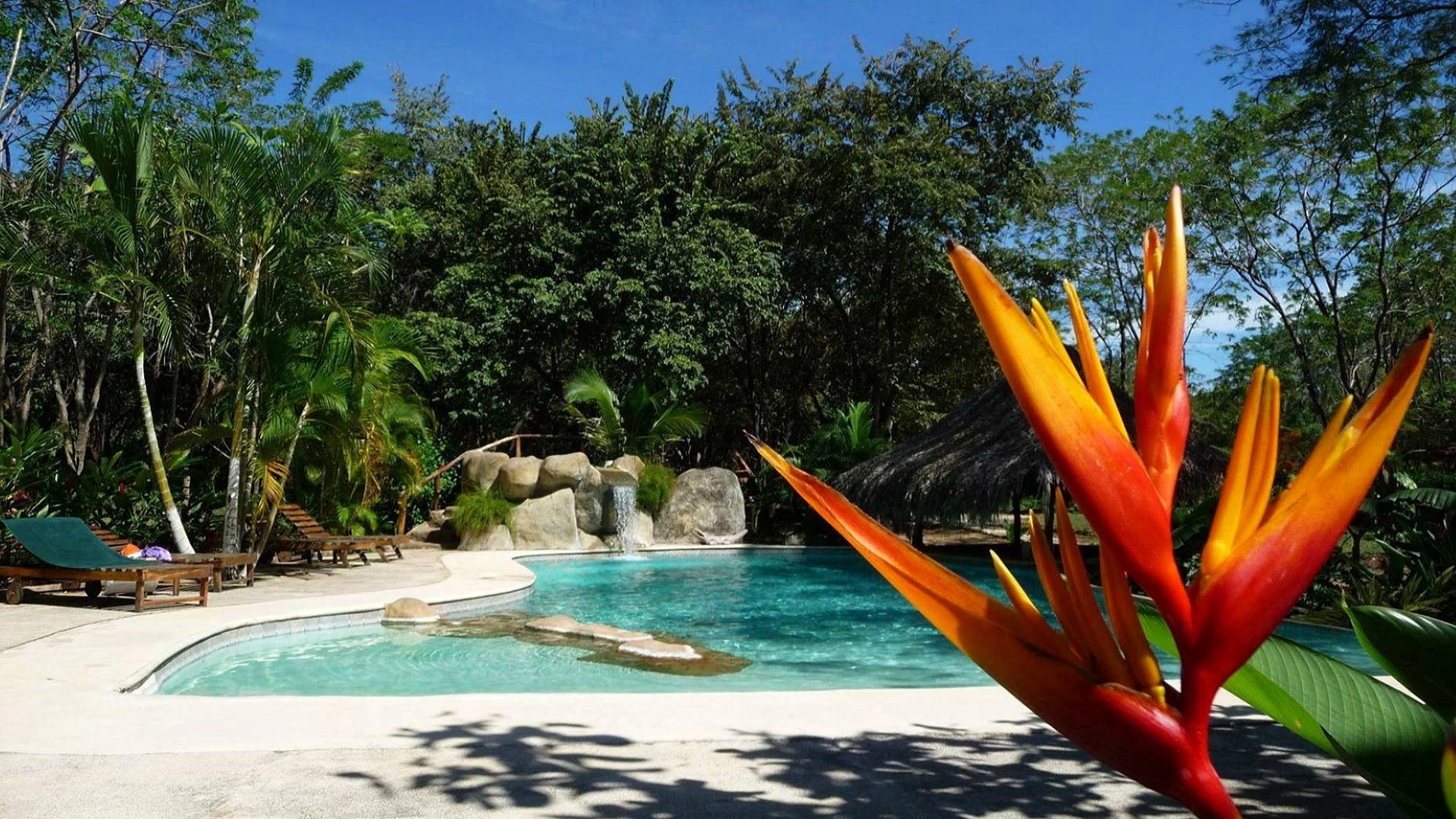 2200-The swimming pool of the property for sale on the Pacific Coast of Costa Rica