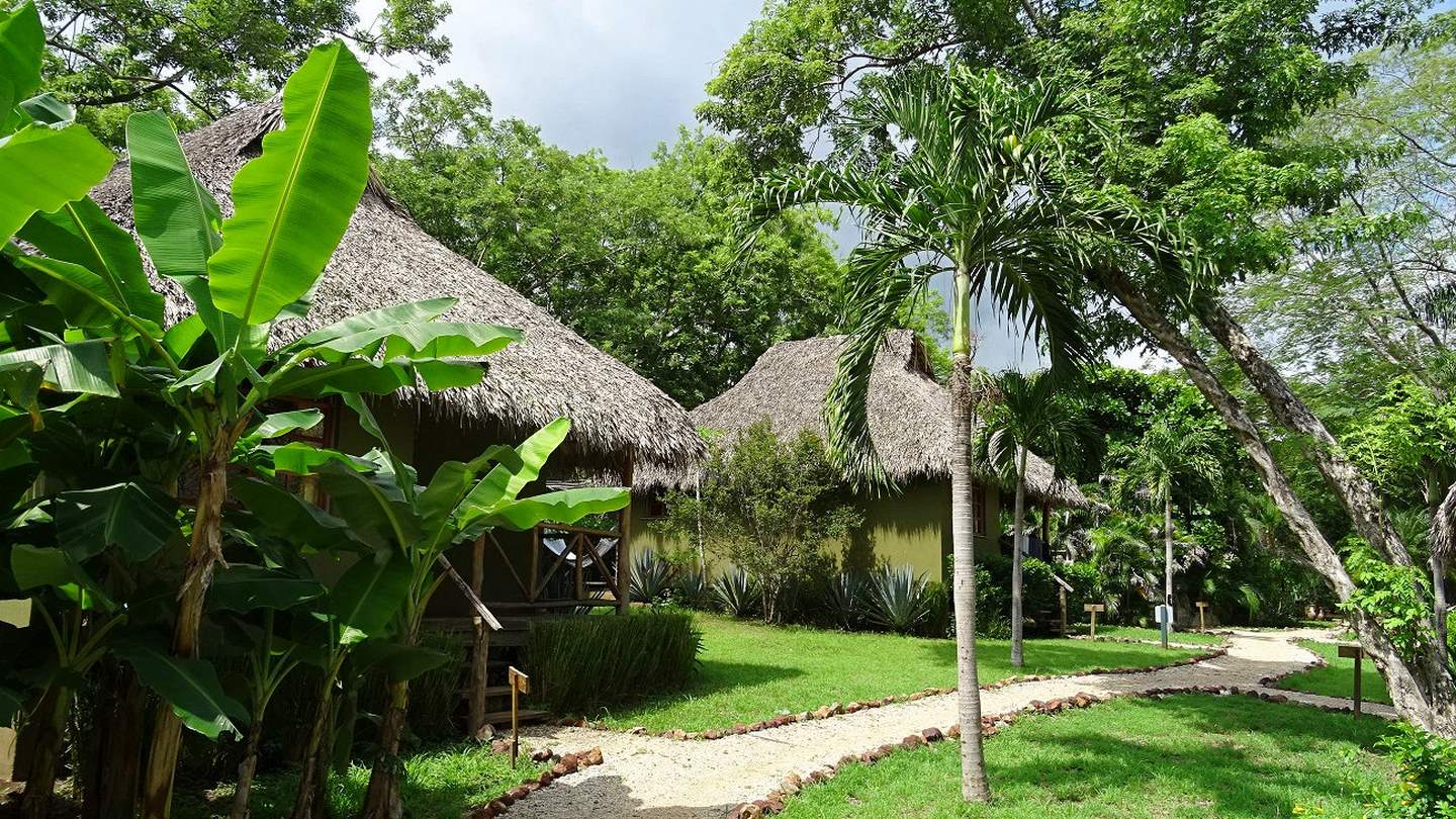 2206-The tropical vegetation between the villas