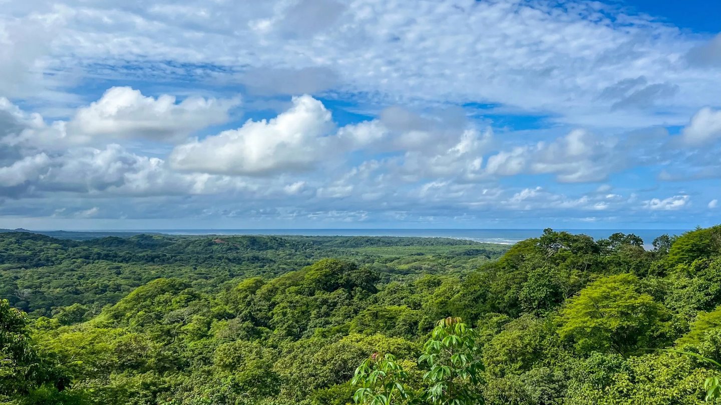 9914-The panoramic views from the home on nature and Tamarindo's bay