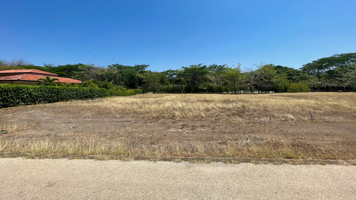 10332-Wide view of the lot