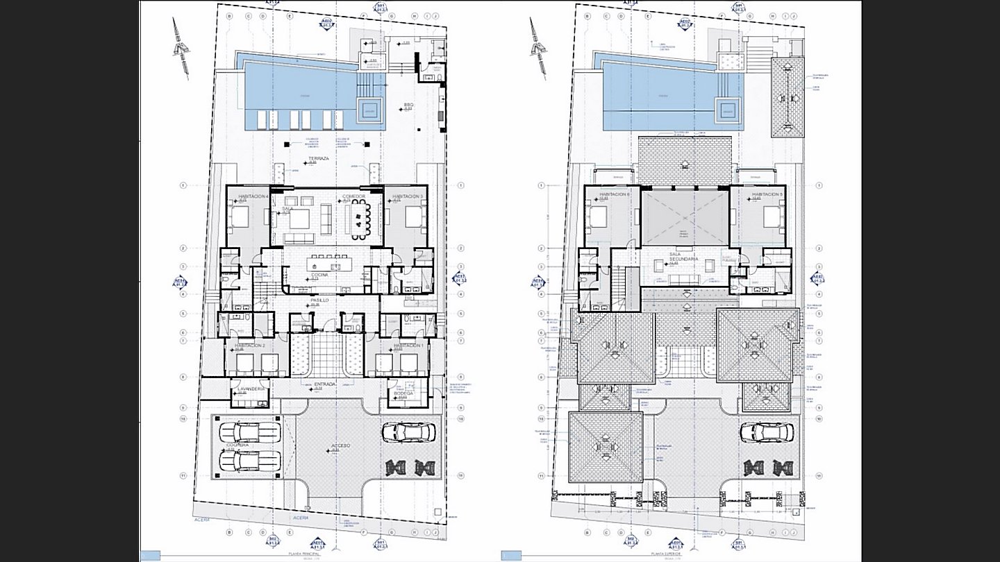 11309-Plans of the large property