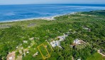 12319-Aerial view and the ocean