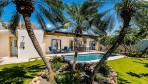 12364-The garden with palm trees