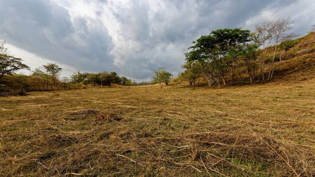 Halfway between Huacas and Tamarindo, 2.47-acre land for sale!