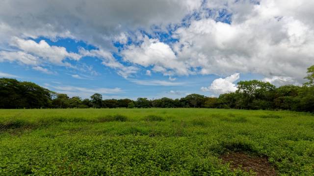 5.36-acre finca for sale a short distance from the ocean...