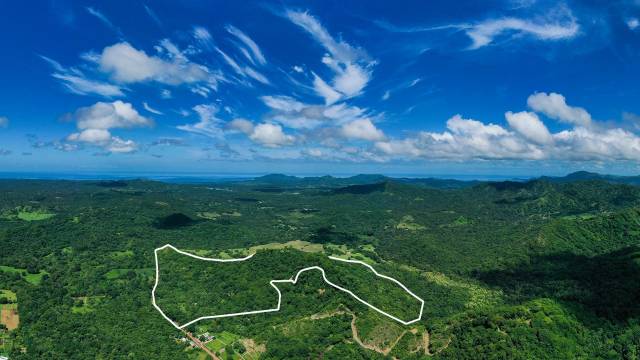 In Guanacaste, finca for sale stretching over 79 acres and including teak...