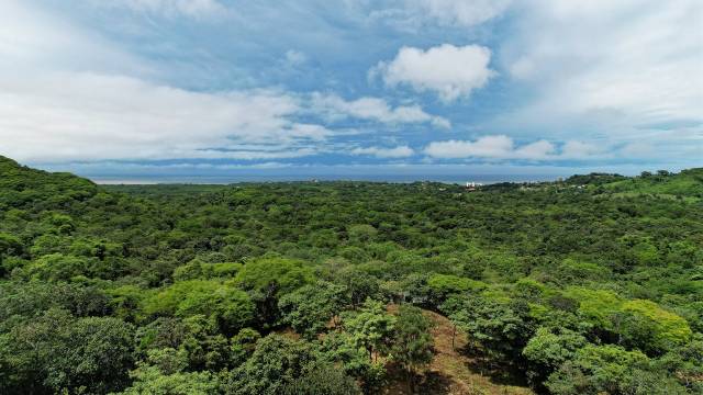 Near Tamarindo, attractive lot for sale with ocean views!