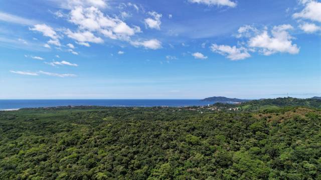 In Tamarindo, finca for sale with very nice ocean views in a delightful rolling landscape.