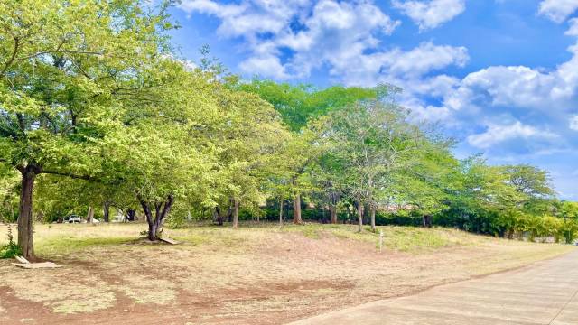 Lot for sale in the large gated community of Hacienda Pinilla.